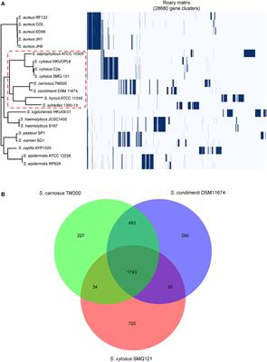 Complete Genome Sequence and Comparative Analysis of Staphylococcus condimenti DSM 11674, a Potential Starter Culture Isolated from Soy Sauce Mash